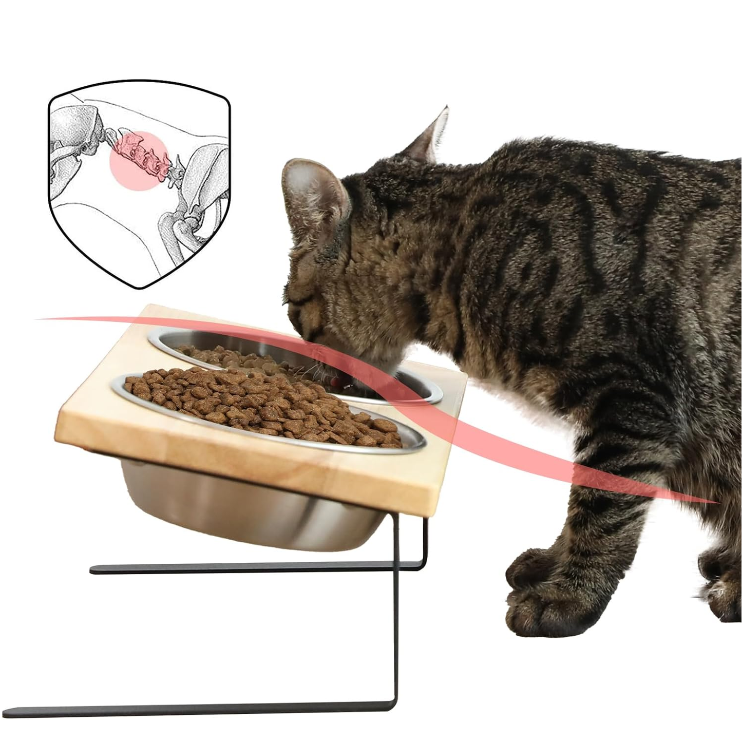 Elevated Cat Bowls - 15° Tilt, Stainless Steel, Rubber Wood Stand - Promotes Healthy Digestion, Minimizes Whisker Fatigue