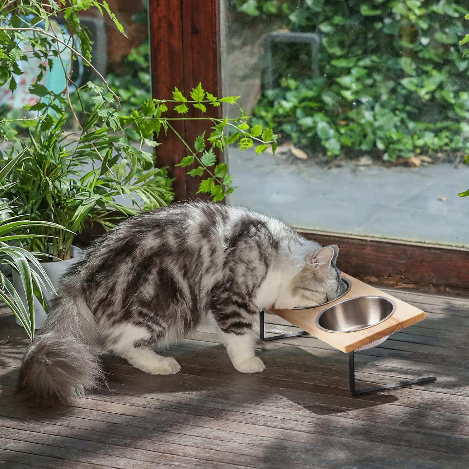 Elevated Cat Bowls - 15° Tilt, Stainless Steel, Rubber Wood Stand - Promotes Healthy Digestion, Minimizes Whisker Fatigue