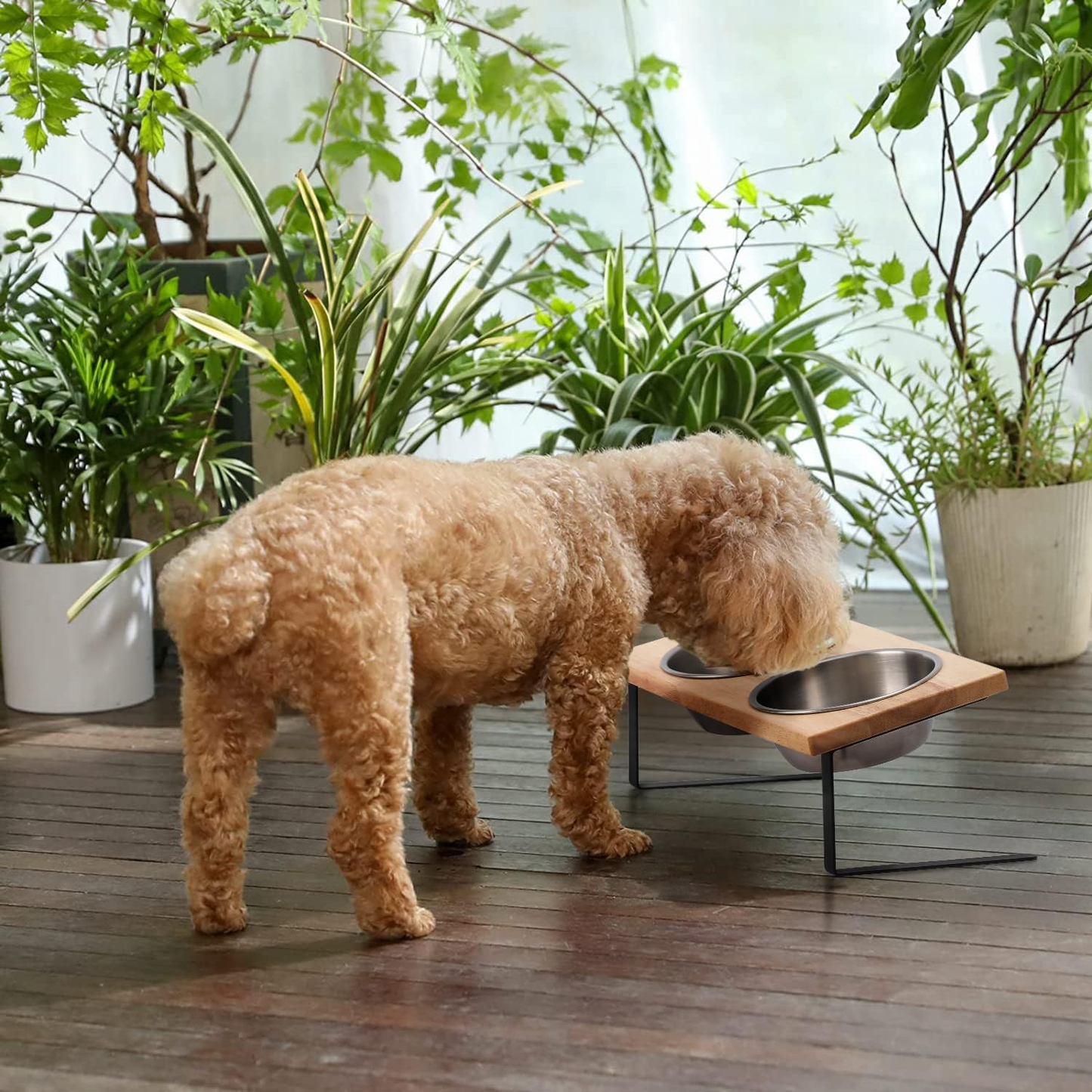 Elevated Cat Bowls - 15° Tilt, Stainless Steel, Rubber Wood Stand - Promotes Healthy Digestion, Minimizes Whisker Fatigue