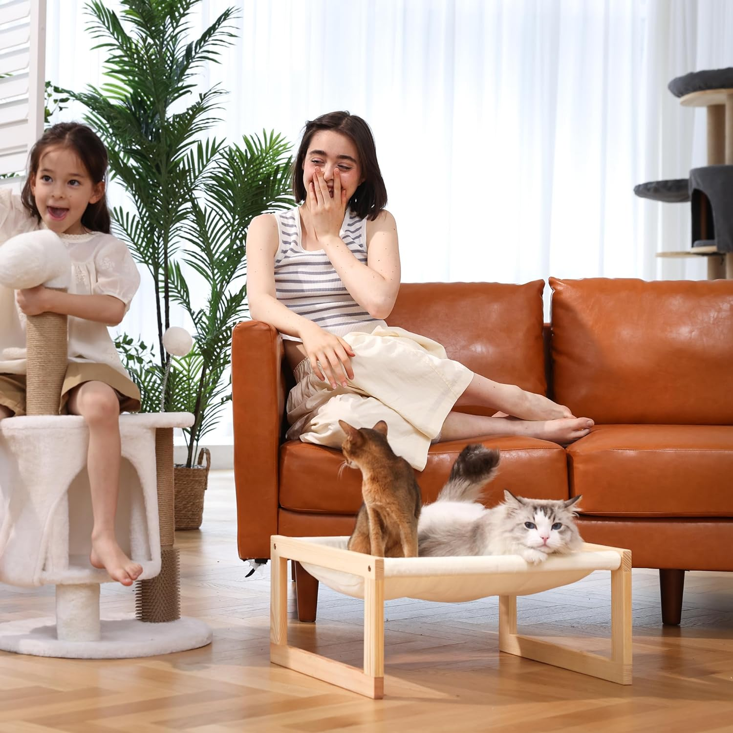 Elevated Cat Hammock Bed, 20x16" Plush Velvet Couch for Indoor Cats, Small Dogs, and Other Pets