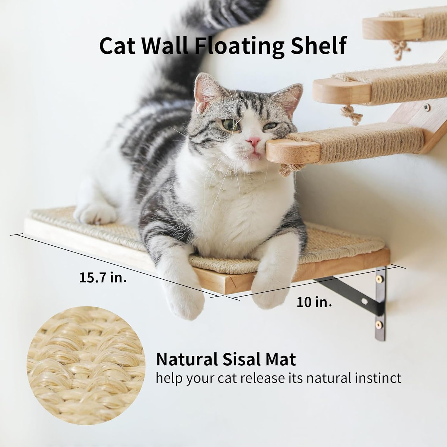 Solid Wood Cat Wall Jungle Gym - 3 Piece Set for Climbing & Lounging (Holds 33 lbs)