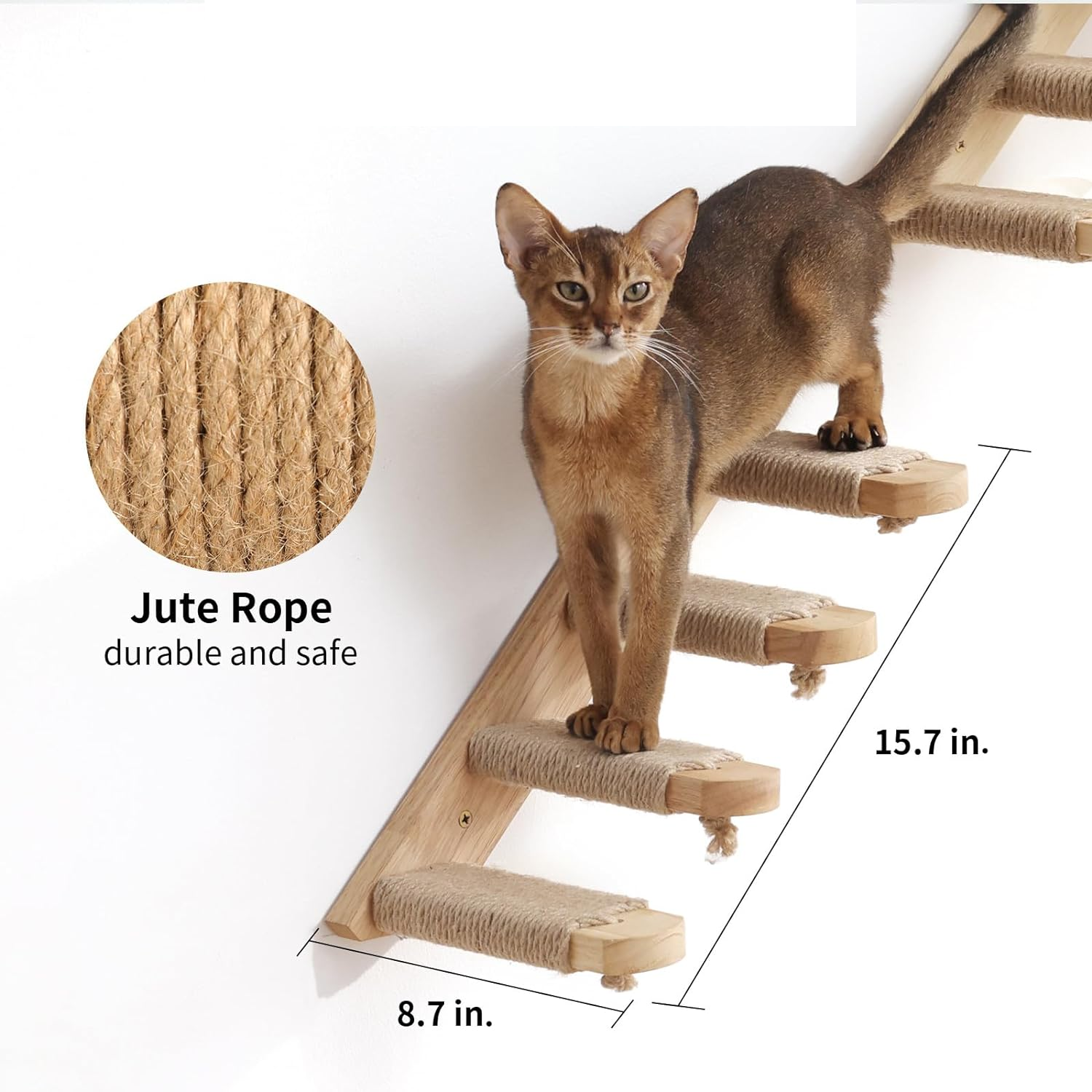 Solid Wood Cat Wall Jungle Gym - 3 Piece Set for Climbing & Lounging (Holds 33 lbs)