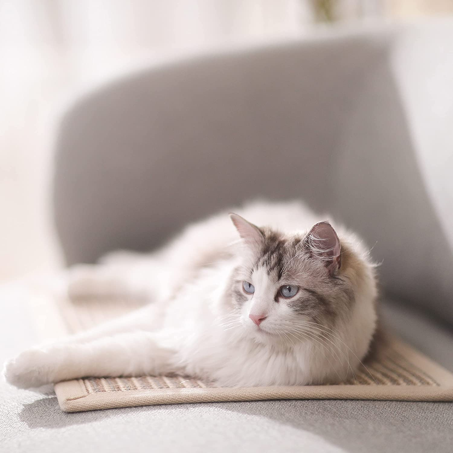 Thickened Natural Sisal Cat Scratching Mat - 23.6" x 15.7", Anti-Skid & Multi-Use for Carpet & Sofa Protection