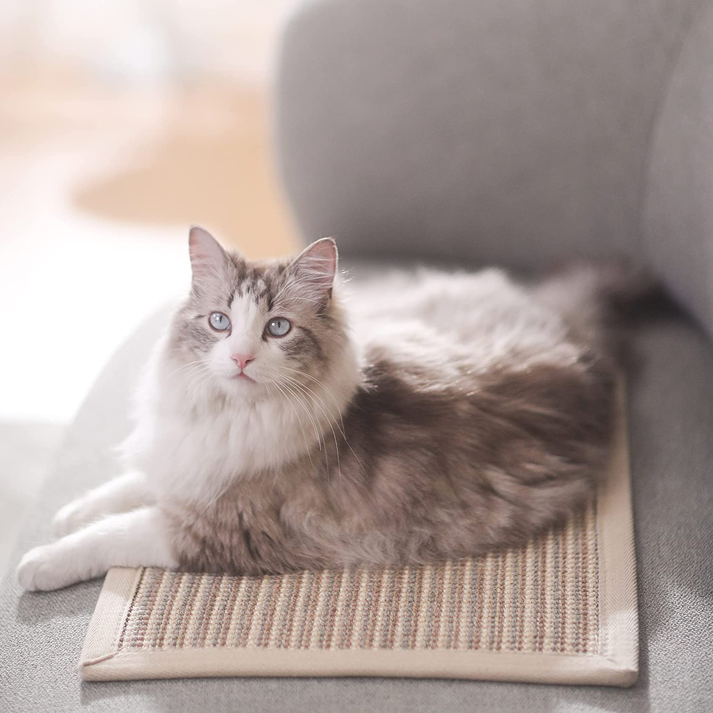 Thickened Natural Sisal Cat Scratching Mat - 23.6" x 15.7", Anti-Skid & Multi-Use for Carpet & Sofa Protection