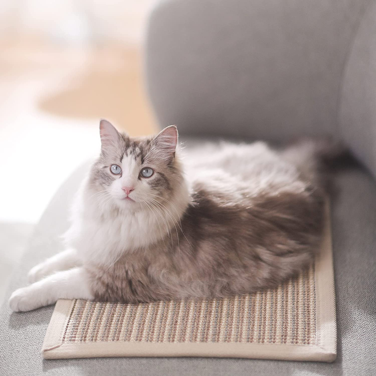 Thickened Natural Sisal Cat Scratching Mat - 23.6" x 15.7", Anti-Skid & Multi-Use for Carpet & Sofa Protection