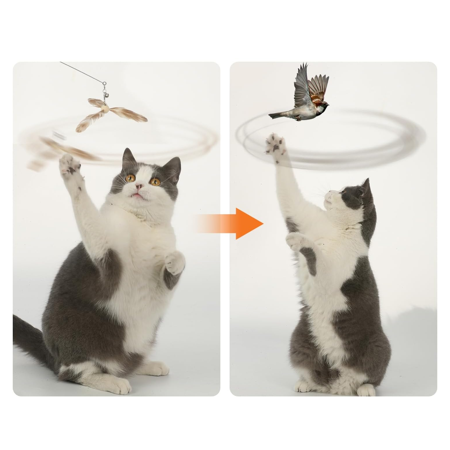 Cat Wand Toy Natural Feather, Cat Toy Feather Replacement (3 PCS Feather Replacement)