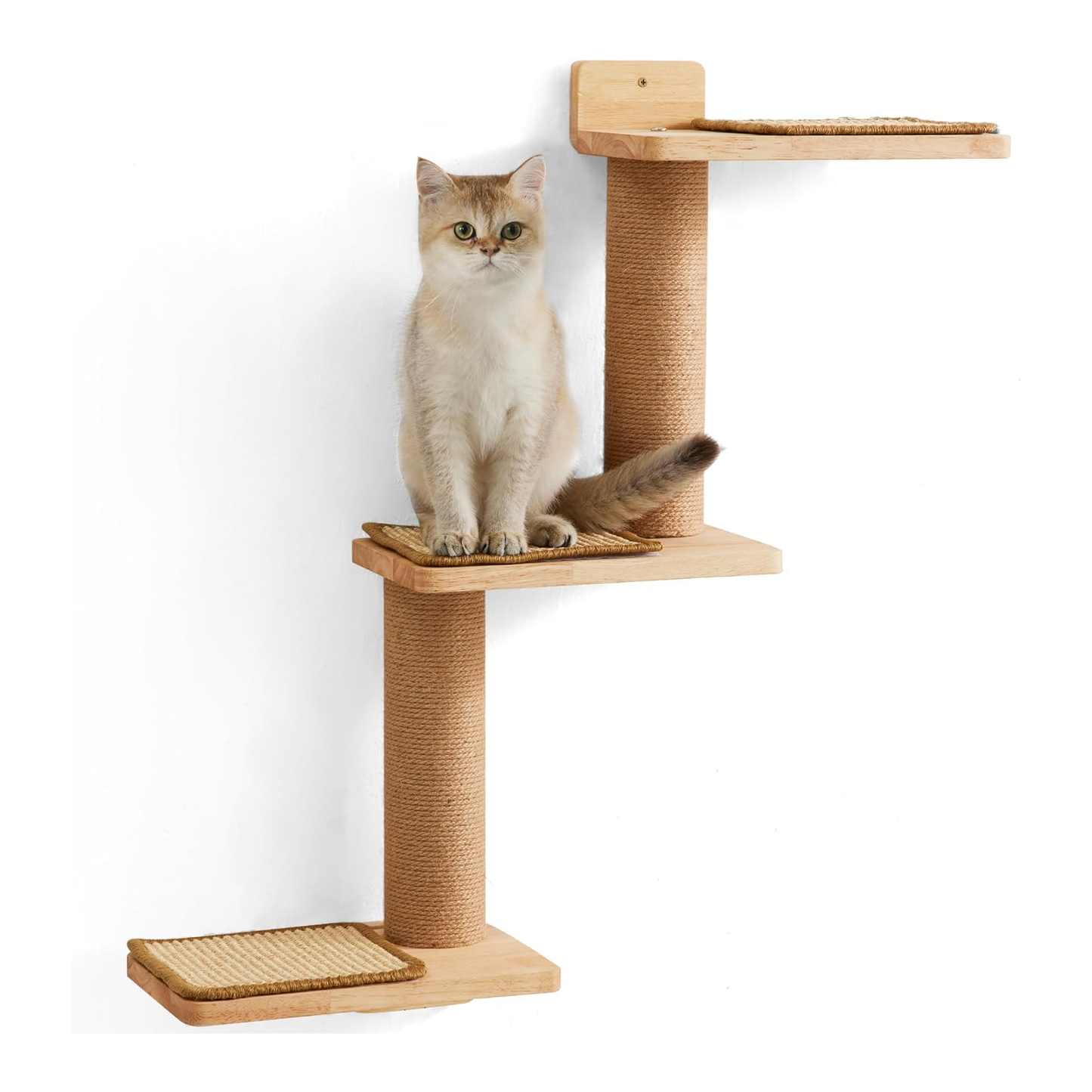 3-in-1 Transformable Wall-Mounted Cat Tree with Scratching Posts and Shelves, Perfect for Climbing, Playing, and Napping