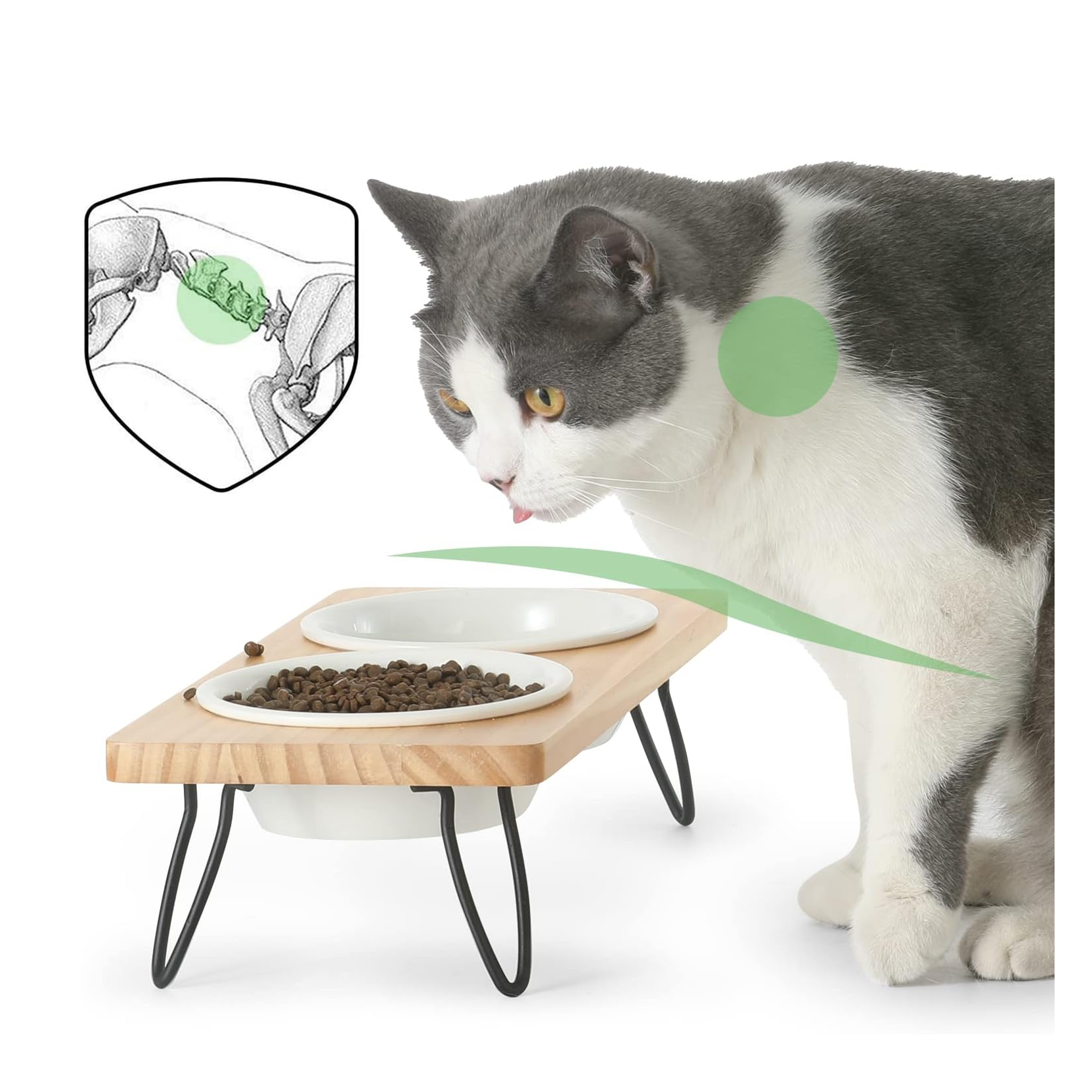 Ceramic Pet Bowl Set (2-Pack) for CC50/CC70/CC80 | Microwave & Dishwasher Safe | 5.4" Wide