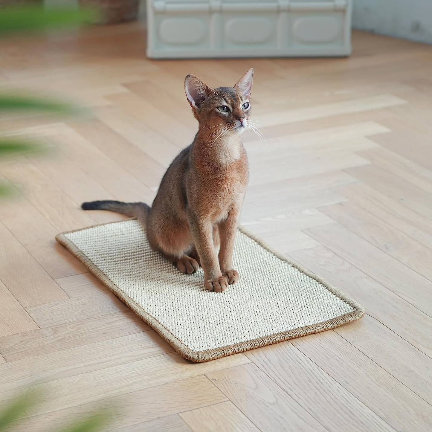Natural Sisal Cat Scratching Mat - 19.6" x 11.8" Horizontal Floor Scratch Pad for Carpet & Furniture Protection - Beige