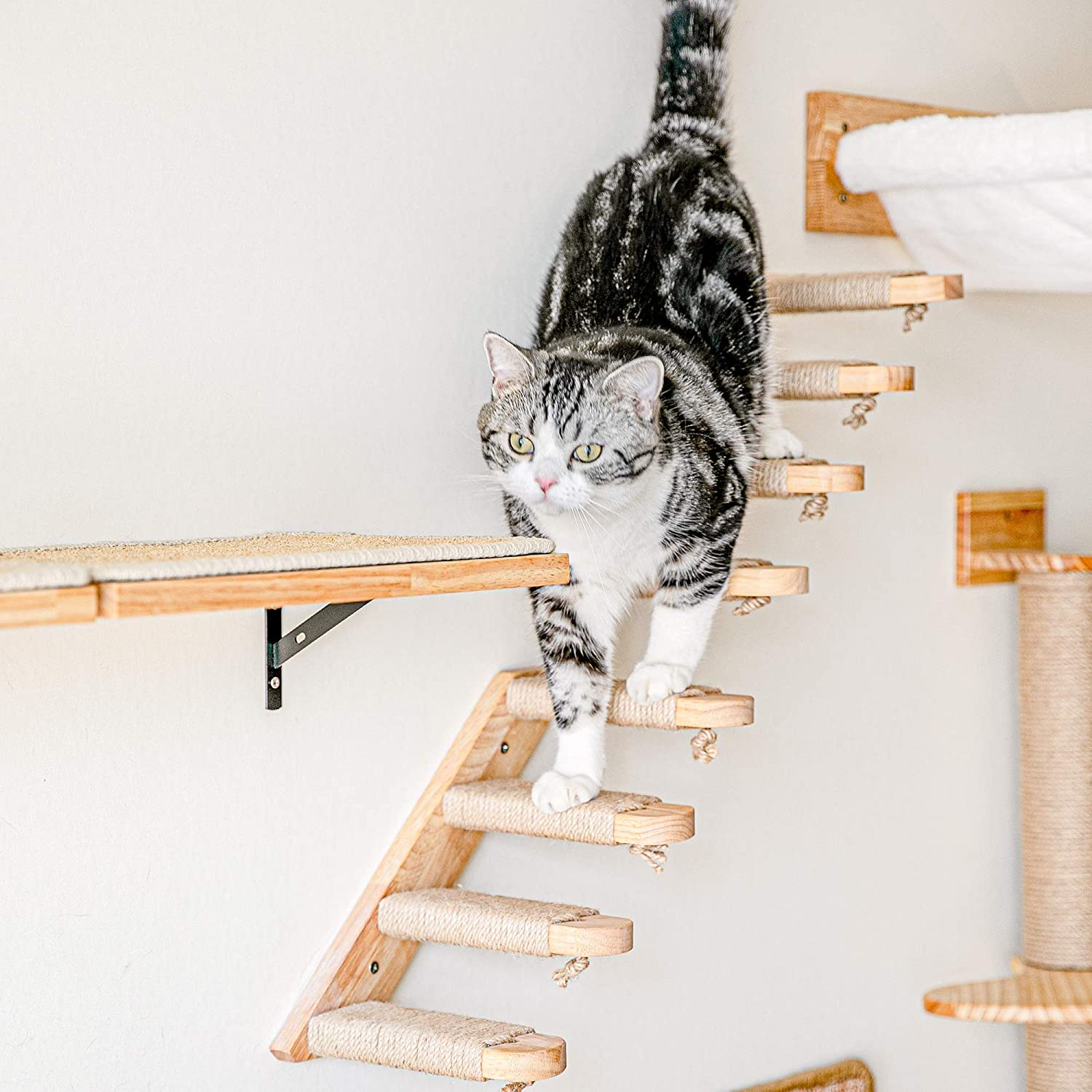 Wooden Cat Wall Climber with Scratching Posts - Four Steps, Space-Saving Design