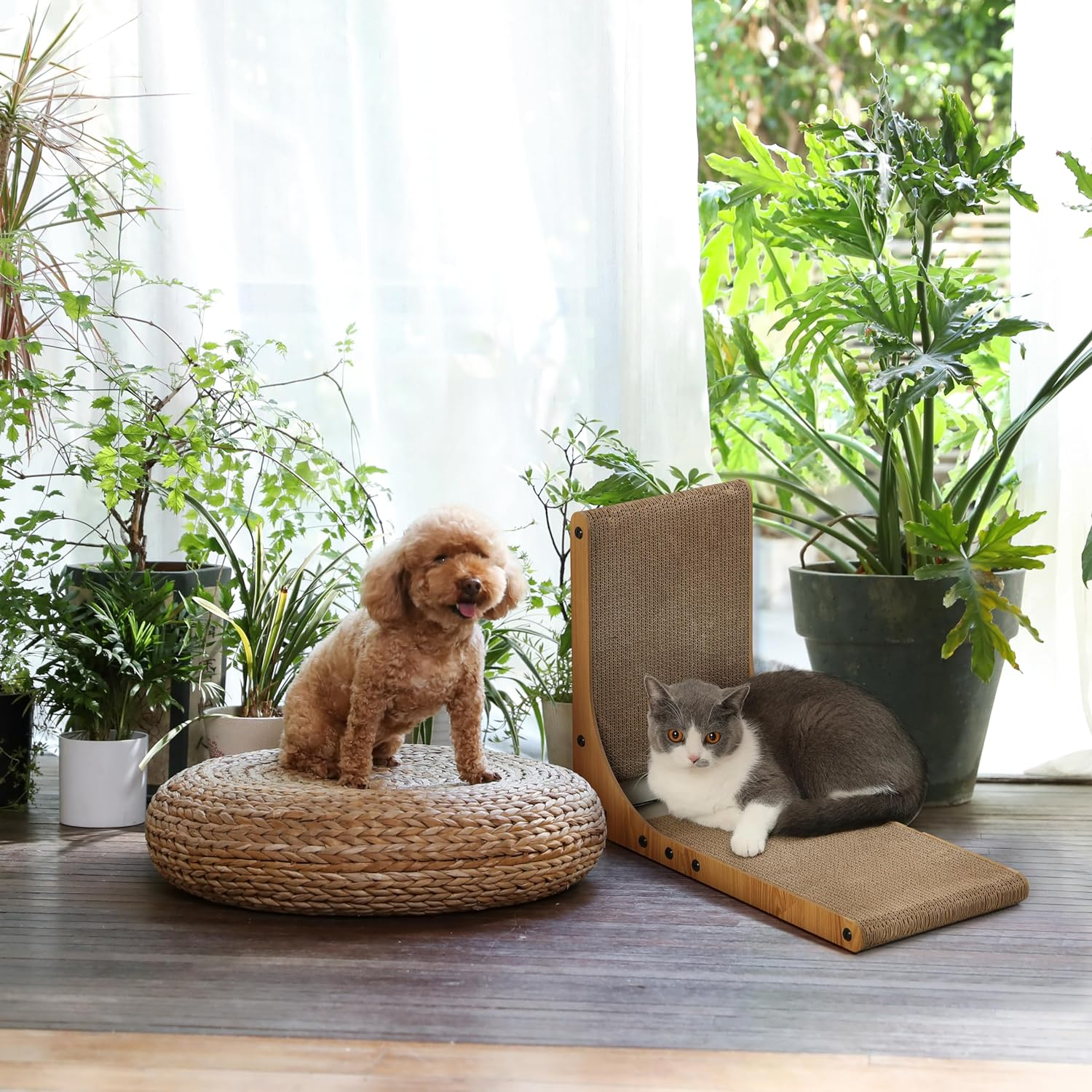 L-Shaped Cat Scratcher Lounge with Ball Toy, 18.9-Inch, Multi-Position, Wall-Mountable, Eco-Friendly Cardboard