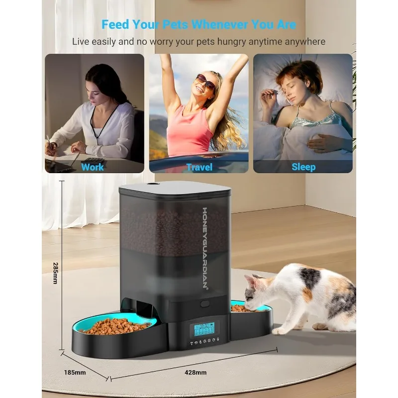 Honeyguaridan 3.5L Automatic Cat Feeder with Dual Bowls and Slow Feeding Feature