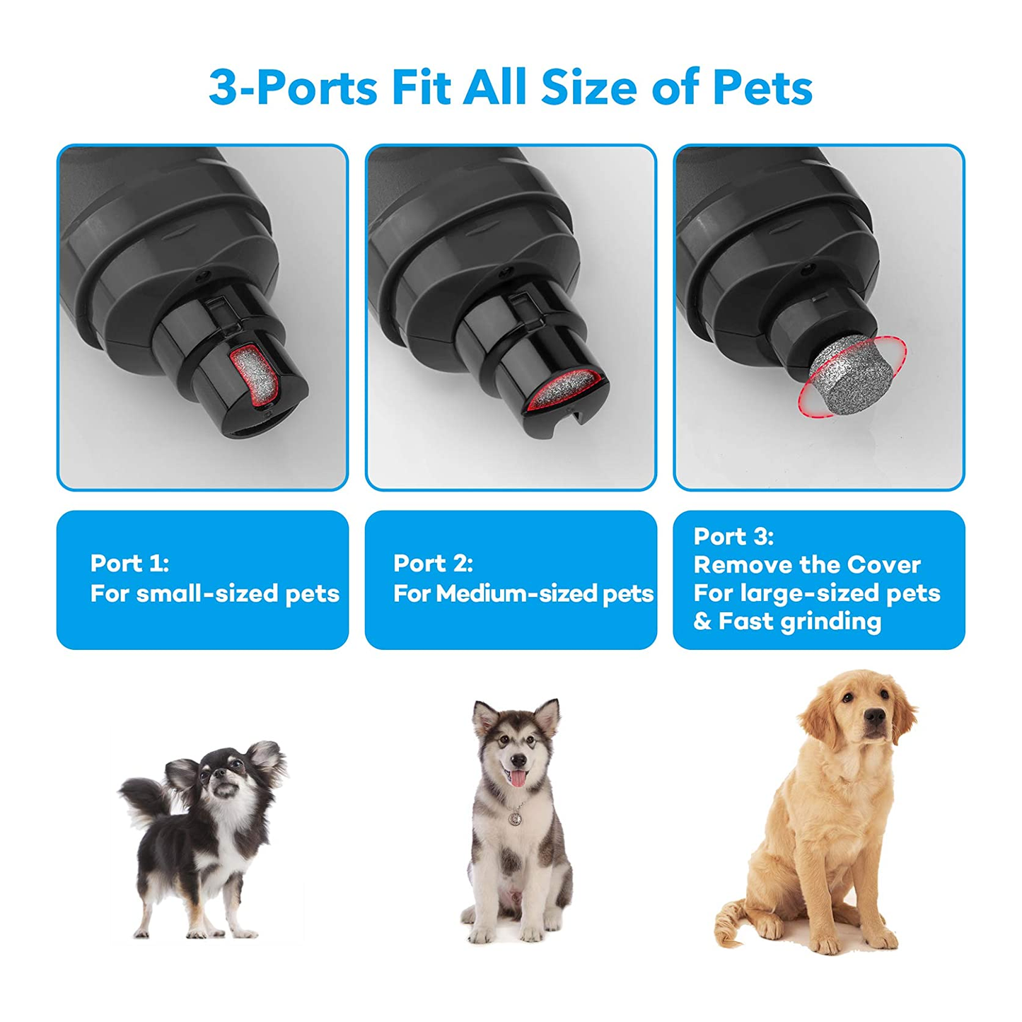 Powerful 2-Speed Pet Nail Grinder with Dual LED Lights, Quiet & Painless Grooming for Small, Medium & Large Dogs and Cats