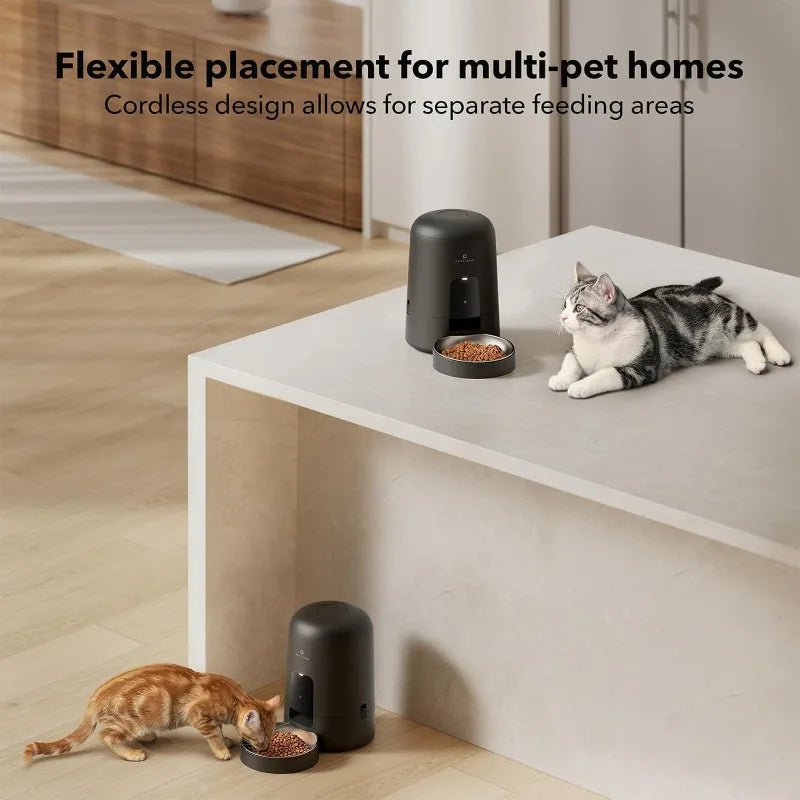 PETLIBRO Automatic Cat Feeder: Wi-Fi Rechargeable, 30-Day Battery Life, App-Controlled, Anti-Clog Design