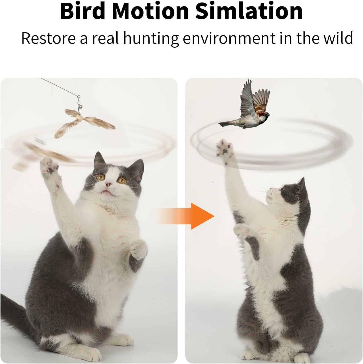 Interactive Cat Feather Wand - 35.5" Long with Spinning Feathers & Bell