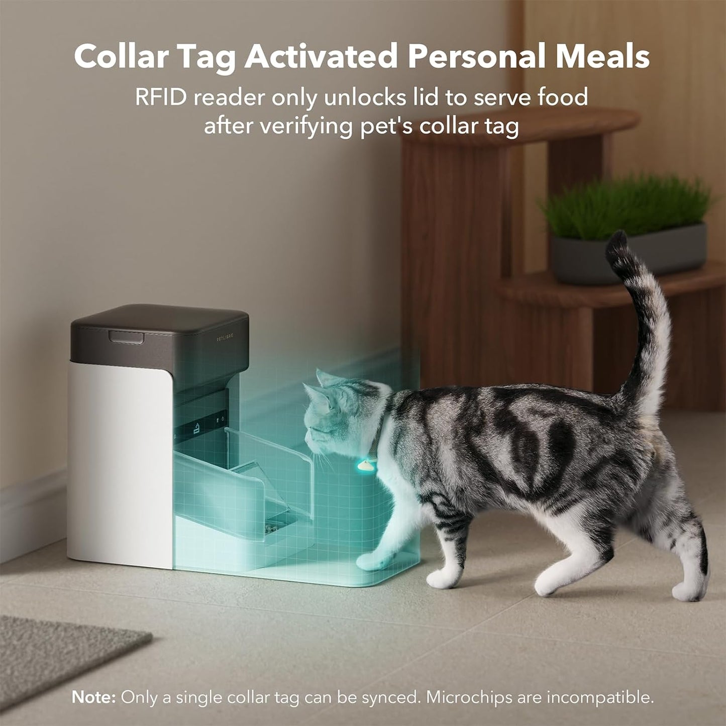 Smart RFID Pet Feeder | One Pet, One Feeder | App-Controlled & Wi-Fi Enabled  pen_spark